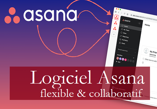 logiciel asana flexible et collaboratif