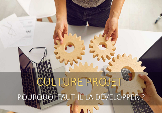 ourquoi faut-il impérativement développer une culture projet ?